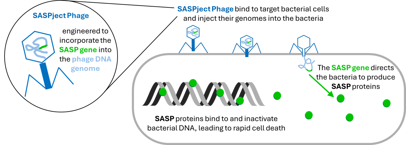 SASPject Technology